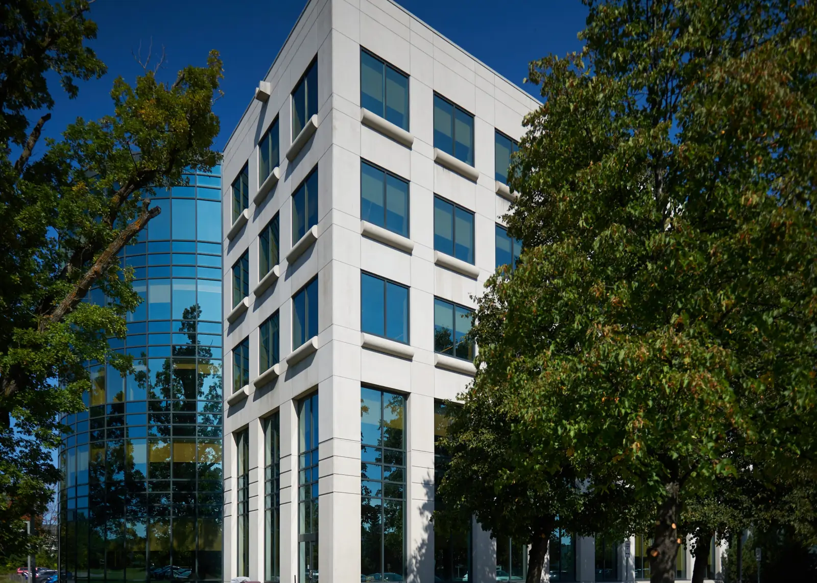 Dell in Kanata North